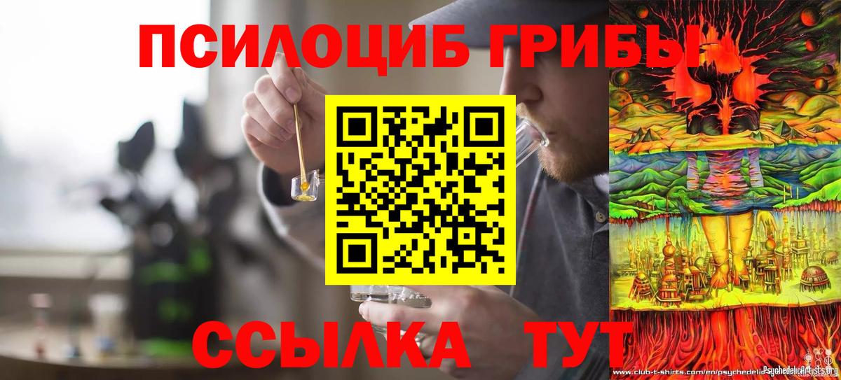 Псилоцибиновые грибы ЛСД Щёлково