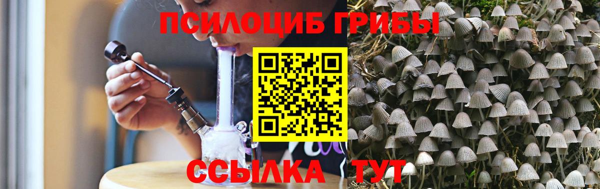 Щёлково  Галлюциногенные грибы Cubensis  купить   Вход с VPN 