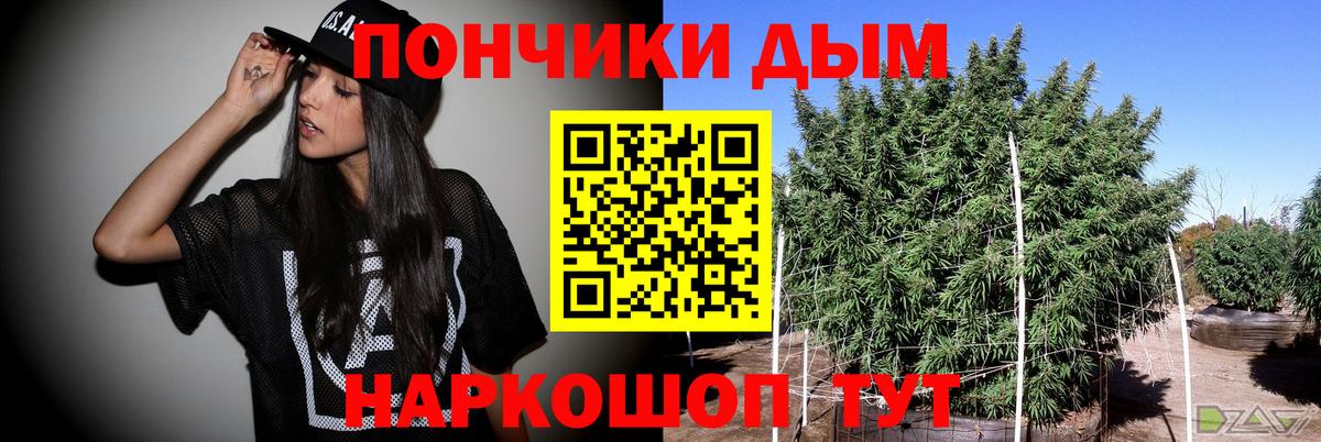 Бошки марихуана планчик  Каннабис Bruce Banner  Щёлково  Бошки марихуана конопля  МАРИХУАНА тримм  Вход с VPN 